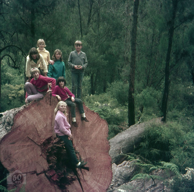 children on fallen tree
